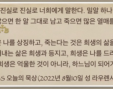 [오늘의 묵상] 2022.08.10