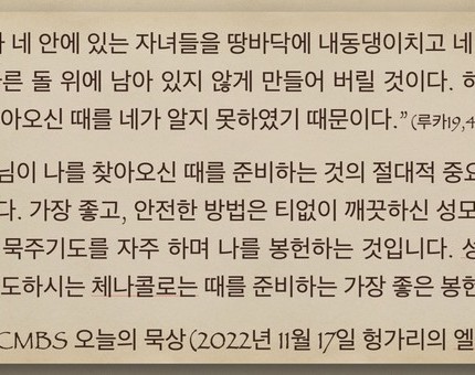 [오늘의 묵상] 2022.11.17