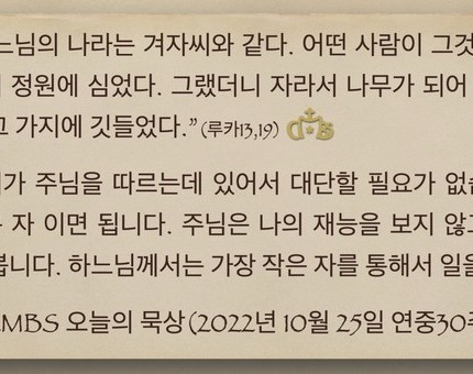 [오늘의 묵상] 2022.10.25