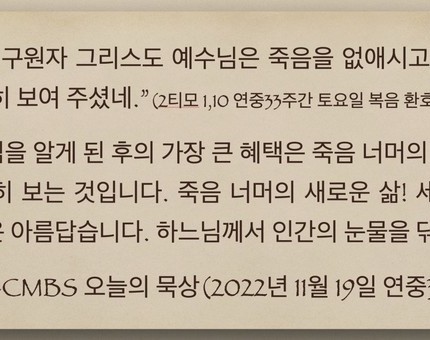 [오늘의 묵상] 2022.11.19