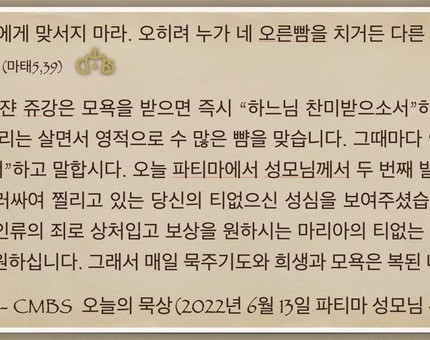 [오늘의 묵상] 2022.06.13