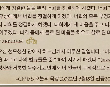 [오늘의 묵상] 2022.08.18