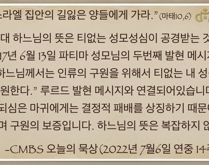 [오늘의 묵상] 2022.07.06