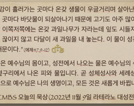 [오늘의 묵상] 2022.11.09