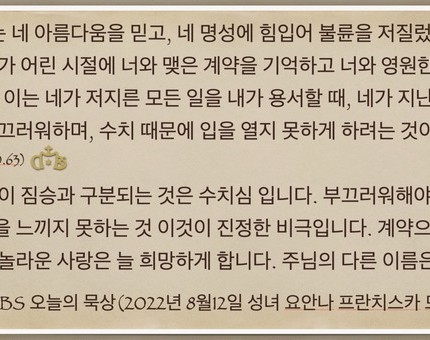 [오늘의 묵상] 2022.08.12