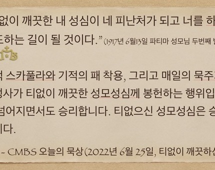 [오늘의 묵상] 2022.06.25