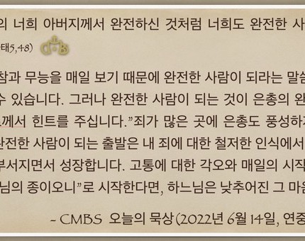 [오늘의 묵상] 2022.06.14