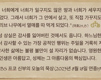 2023년 8월 18일 프코신부의 오늘의 묵상