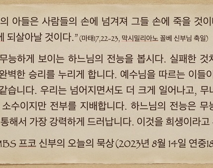 2023년 8월 14일 프코신부의 오늘의 묵상