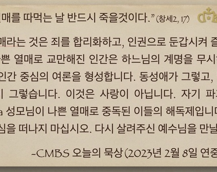 2023년 2월 8일 오늘의 묵상
