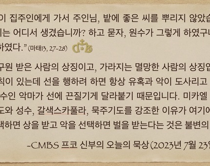 2023년 7월 23일 프코신부의 오늘의 묵상