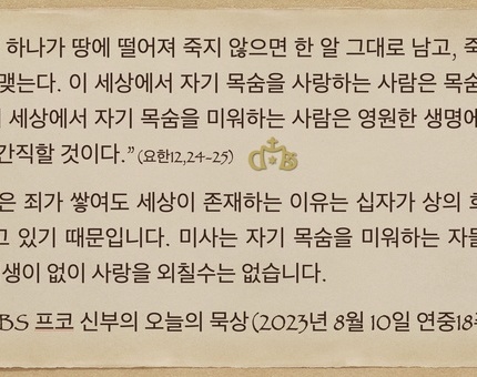 2023년 8월 10일 프코신부의 오늘의 묵상