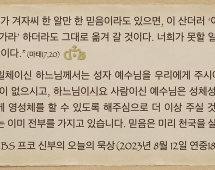 2023년 8월 12일 프코신부의 오늘의 묵상