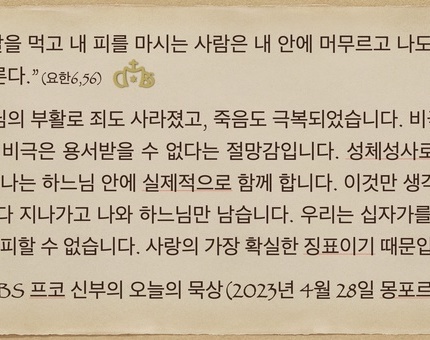 2023년 4월 28일 프코신부의 오늘의 묵상