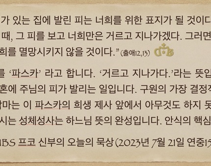 2023년 7월 21일 프코신부의 오늘의 묵상