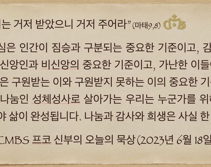 2023년 6월 18일 연중11주일 프코신부의 오늘의 묵상