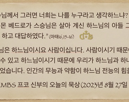 2023년 8월27일 연중27주일 프코신부의 오늘의 묵상