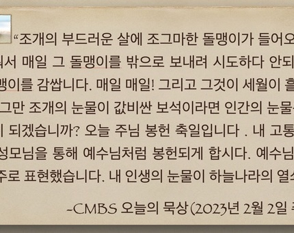 2023년 2월 2일 주님봉헌축일 오늘의 묵상