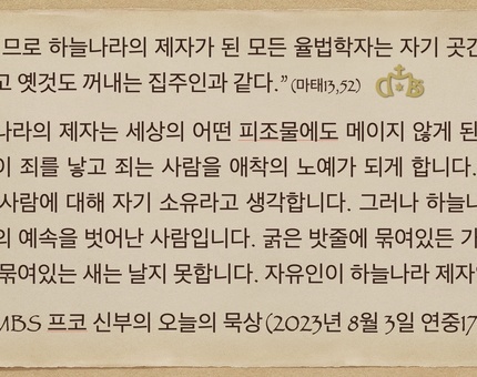 2023년 8월 3일 프코신부의 오늘의 묵상