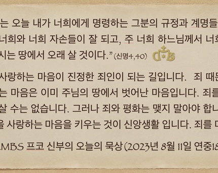 2023년 8월 11일 프코신부의 오늘의 묵상